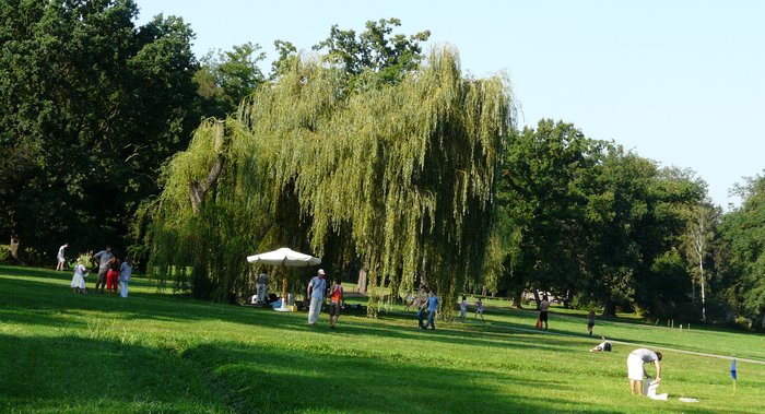 036 2008 Calypso   naborovy den Stromovka II